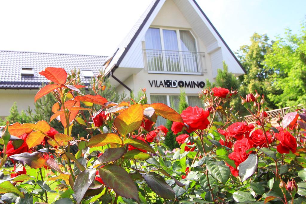 Vila Domino พาลังกา ภายนอก รูปภาพ